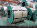 佛山厂家直销316L/2B 0.3*1000*2000不锈钢板
