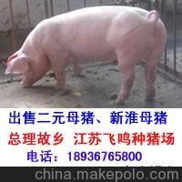 ̫ĸi400Ԫһ^ K̫ĸi500Ԫһ^