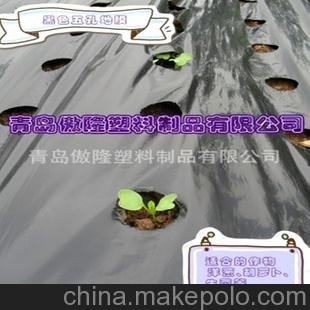 聚乙烯薄膜圖片