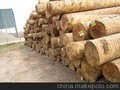 广州 进口非洲紫檀报关报检公司