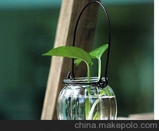 zakka雜貨 批發(fā)南瓜瓶，鐵線玻璃吊瓶 花瓶 水培容器瓶圖片
