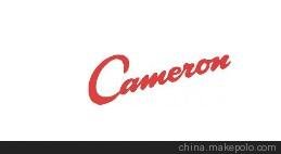 供應(yīng)CAMERON防噴器配件46748-01  純正進(jìn)口圖片