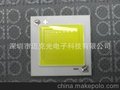 7W陶瓷COB正白