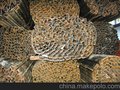 Z型管 D型管