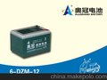 6-DZM-12电动车用电池