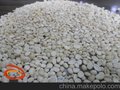 厂家直供 脱皮红豆片 东北中颗粒红豆加工而成