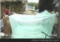 單開門出口非洲中東戶外旅行行軍蚊帳