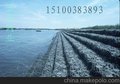 蜂巢格宾网 挡土墙重型六角网 固堤石笼网箱
