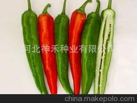 特大果高抗病牛角椒種子 時(shí)田七號(hào)雜交辣椒種子 青皮尖椒種子圖片