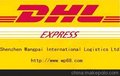 王牌国际物流DHL国际快递到巴西小货优惠价175元起