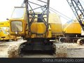 供应Used 40 t crawler crane