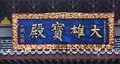 天艺来大雄宝殿 精品牌匾
