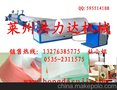 EPE发泡生产线,塑料发泡生产线,EPE发泡设备