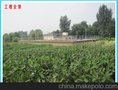 北京洗车污水处理设备