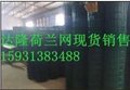 提供衡水浸塑荷兰网供应商 衡水大供应商（图）达隆丝网