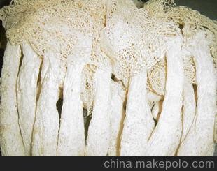 干竹蓀批發(fā)，干猴頭菇批發(fā)圖片