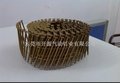 批量供应2150光身卷钉,CN57卷钉枪专用卷钉