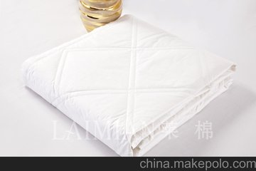 R޲Ʒ2013®a(chn)ƷZq̺SֱN