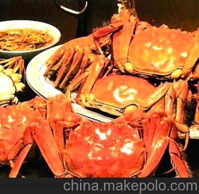 供應蟹都匯特級母蟹