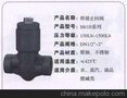 供应焊接止回阀 进口焊接止回阀 广州焊接止回阀
