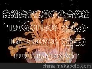 x(chng)x(chng)ݿɏ_x(chng)