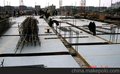 西安厂家直销FRTP建筑模板,增