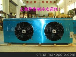 勞宮品牌冷庫(kù)制冷設(shè)備勞宮品牌冷風(fēng)機(jī)中溫DD80平方吊頂式冷風(fēng)機(jī)圖片