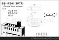 厂家生产 供应 SS\SK 拨动开关SS-17E01