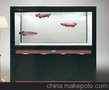 生态水族箱加盟广受，生态鱼缸制作