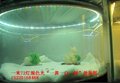 石家庄市LED珠宝展柜灯条