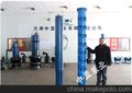 300QZB城市防汛排水潜水轴流泵