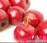 沛然山楂粉速溶好原料