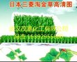 比利时淘金草、金毡、增金草、粘金毯、淘金布
