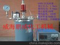 高压釜0.5L1L2L3L5L10L20L30L50L100L150L200L