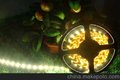 DC12VLED3528软灯条LED3528贴片柔性软灯带LED3528软灯条