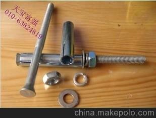 廠家供應(yīng)安易固國(guó)標(biāo)膨脹螺栓 膨脹栓 膨脹絲 脹栓8*120圖片