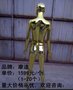 深圳电镀模特工厂、深圳模特道具厂家、深圳服装模特价格