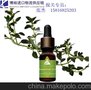 进口汇美舍精油代理/加拿大精油中港快递进口