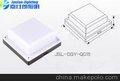 供应嘉仕朗JSL-DGY-QC15户外亮化工程专用点光源