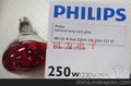 供應飛利浦/PHILIPS BR125 IR 230-250V 250W