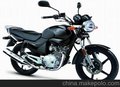 雅马哈YBR125雅马哈YBR125