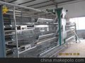 层叠式蛋鸡笼兼育雏笼
