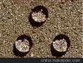 纳米硅墙面、地面、卫生间防水剂，壹能牌一厂家直销