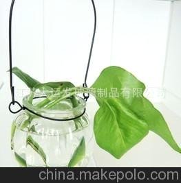 zakka雜貨 批發(fā)南瓜瓶，鐵線(xiàn)玻璃吊瓶 插花瓶 水培容器瓶圖片