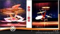 广州睿点演出公司提供少林武术 少林十八铜人广州皮影