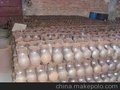 供应无缝高压三通三通四通四通