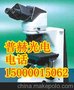 尼康正置显微镜Eclipse  55i
