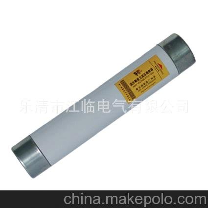 生產(chǎn)廠(chǎng)家RN2-35/0.5A戶(hù)內高壓限流熔斷器 RN熔斷器圖片
