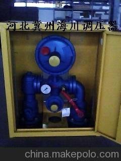 不銹鋼DN50樓棟調壓箱 天燃氣調壓箱 煤氣調壓箱圖片