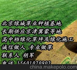 供應(yīng)承德綠化草坪銷售張家口綠化草坪銷售唐山草坪